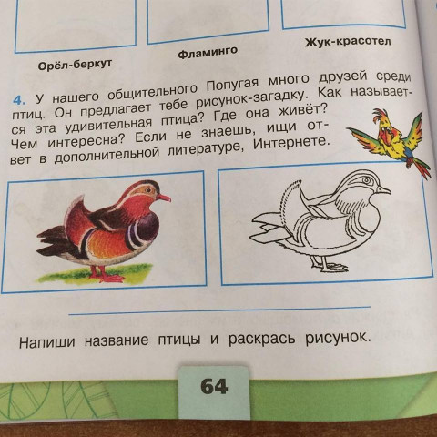 Запиши названия птиц. Напиши название птицы. Подписать названия птиц. Подпиши названия этих птиц. Запишите названия животных которые вы определили птицы.